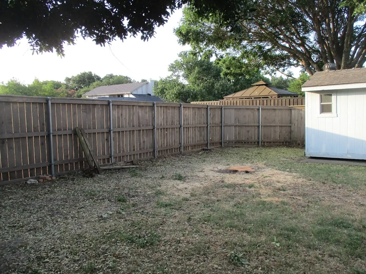 Cleared yard after professional tree removal in Van Buren