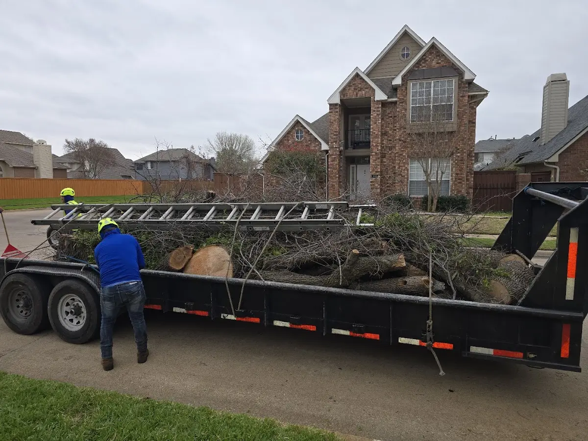Expert Tree Fertilization with proper safety equipment in Van Buren